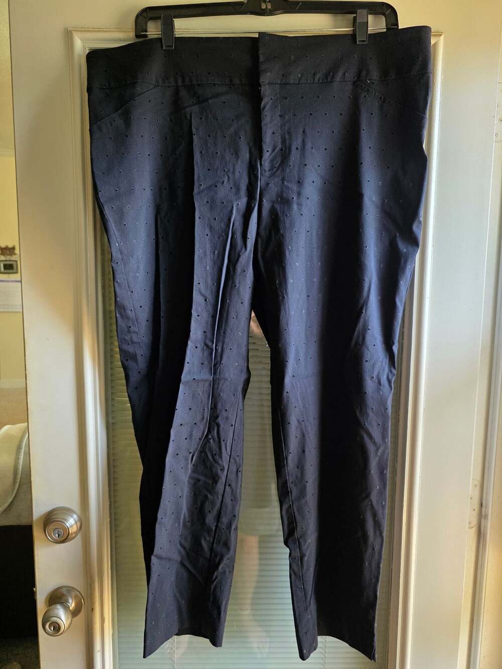 Brautiful Charter Club Woman Classic Fit Pants Size 22W Black Dot